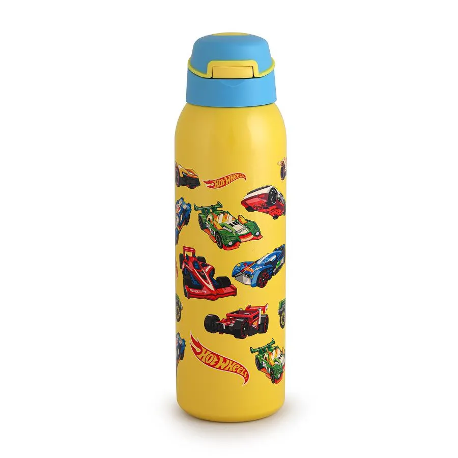 Gym-Star Toons Hot & Cold Stainless Steel Kids Water Bottle, 650ml