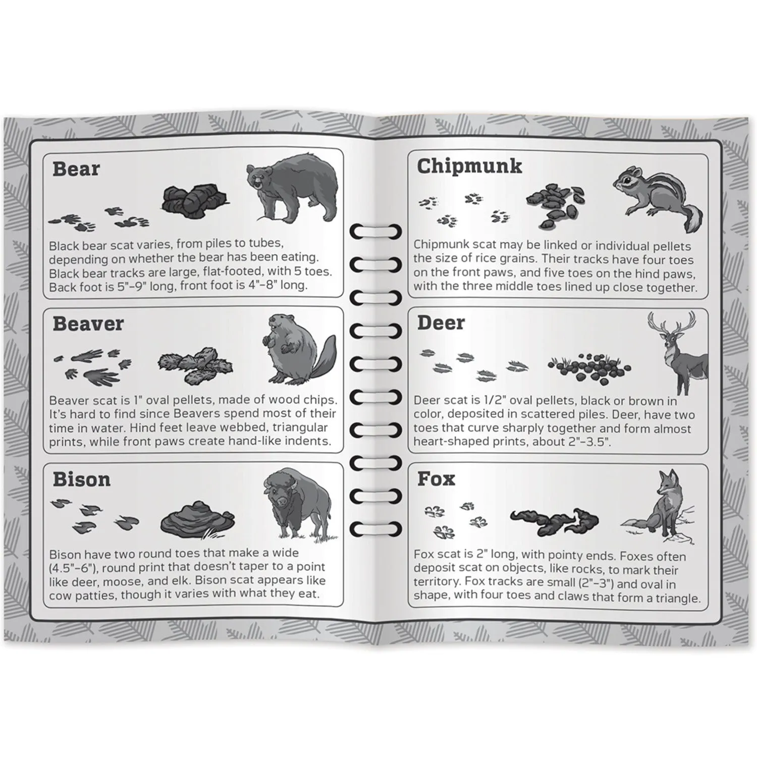 Jr. Ranger Poop Tracks Card Game