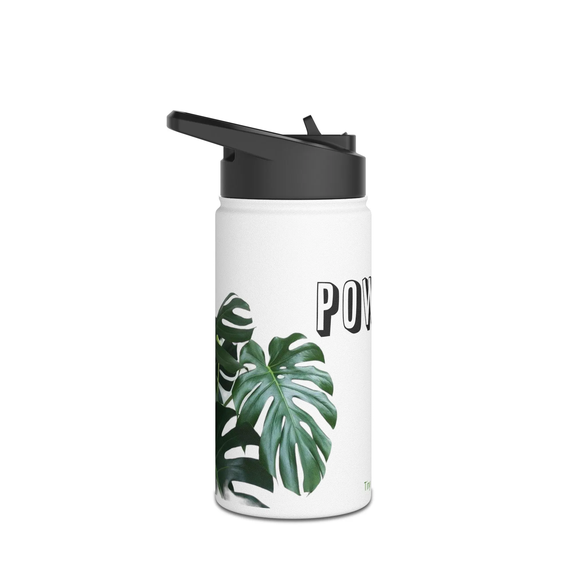 Stainless Steel Water Bottle, Standard Lid