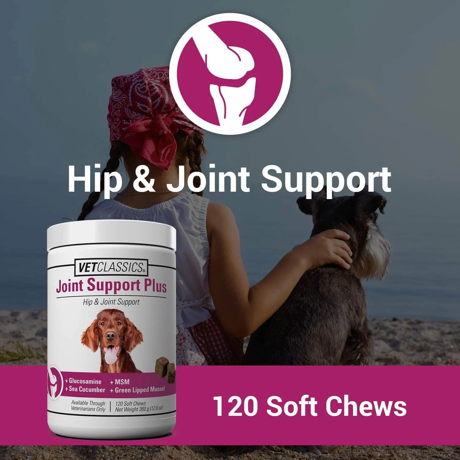 VetClassics Joint Support Plus